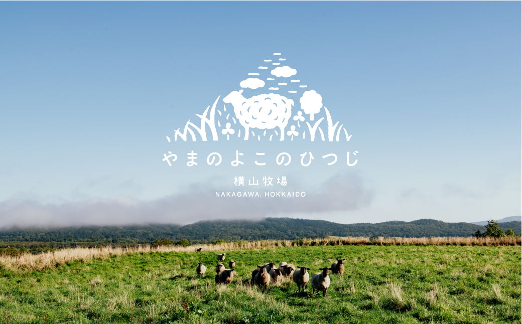 【ふるさと納税】【北海道中川町】<横山牧場 やまのよこのひつじ>6分割【後ろ部位】放牧育ち ホゲット肉 国産 希少 羊肉 塊肉 骨付き モモ スネ ランプ お肉 肉 焼肉 プレミアム