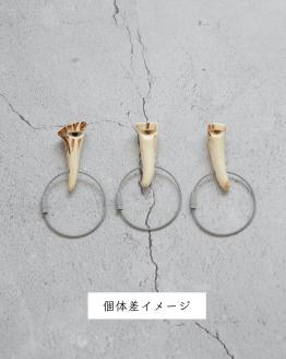 deerwhistles〈mini〉