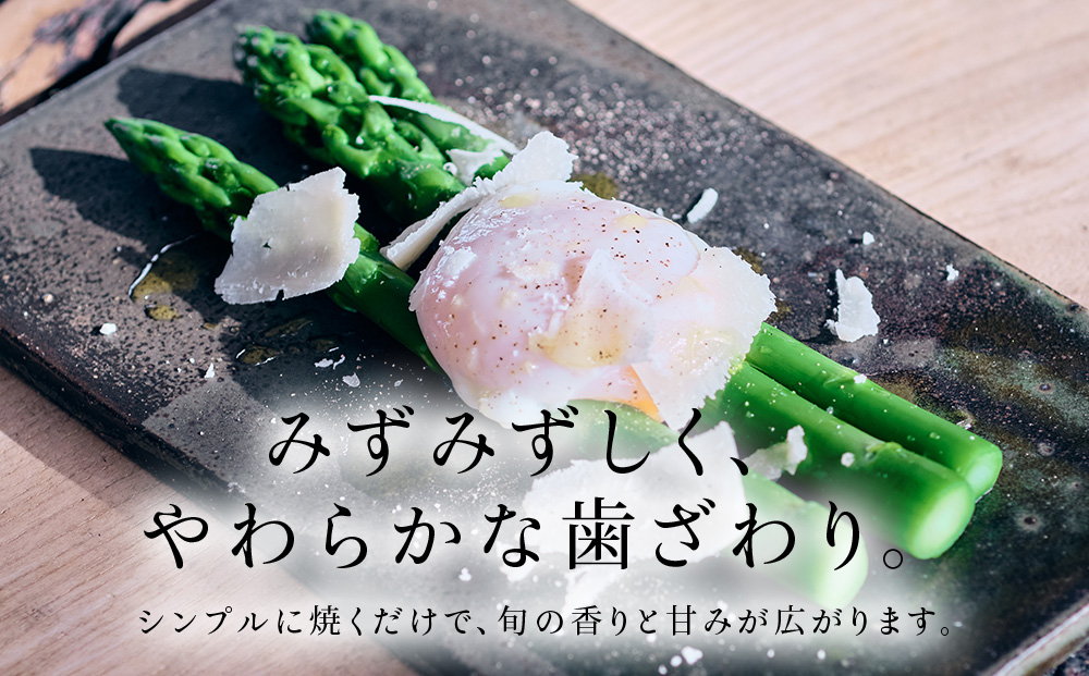北海道中川町産ハウス栽培グリーンアスパラ　3L4Lサイズ　1kg