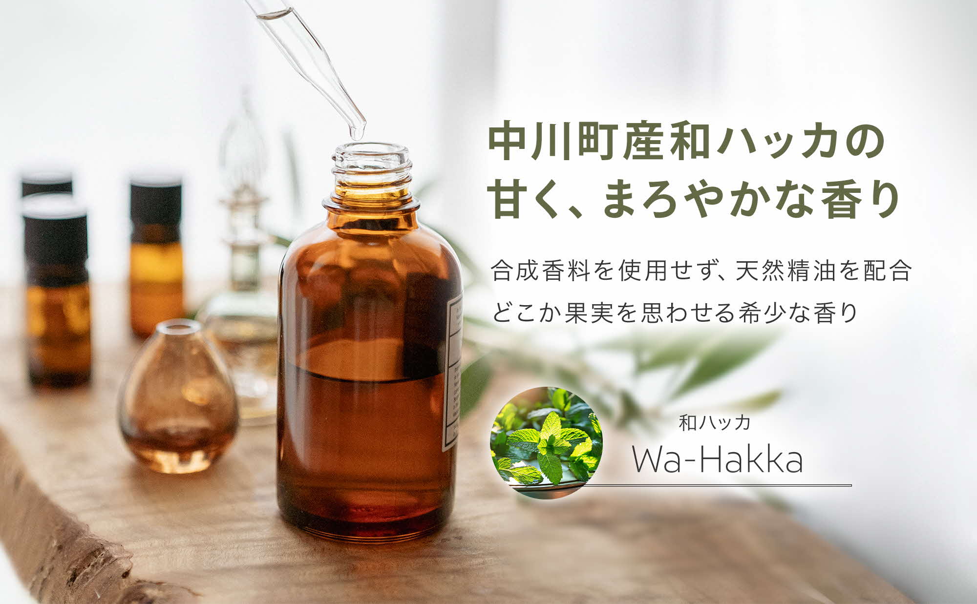 【ふるさと納税】フォレストウッドミネラル　ディッシュソープ