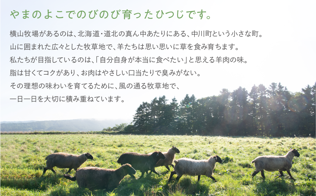 【ふるさと納税】【北海道中川町】<横山牧場 やまのよこのひつじ>6分割【後ろ部位】放牧育ち ホゲット肉 国産 希少 羊肉 塊肉 骨付き モモ スネ ランプ お肉 肉 焼肉 プレミアム