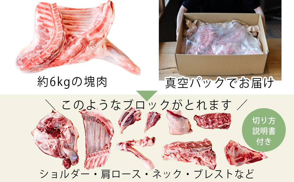 北海道中川町】<横山牧場 やまのよこのひつじ>6分割【前部位】放牧育ち ホゲット肉 国産 希少 羊肉 塊肉 骨付き ショルダー 肩ロース ネック ブレスト お肉 肉 焼肉 プレミアム
