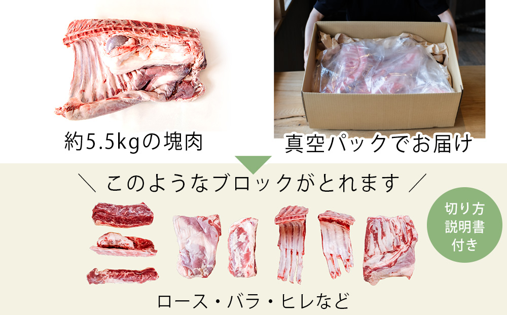 【北海道中川町】<横山牧場 やまのよこのひつじ>6分割【真ん中部位】放牧育ち ホゲット肉 国産 希少 羊肉 塊肉 骨付き ロース バラ ヒレ お肉 肉 焼肉 プレミアム