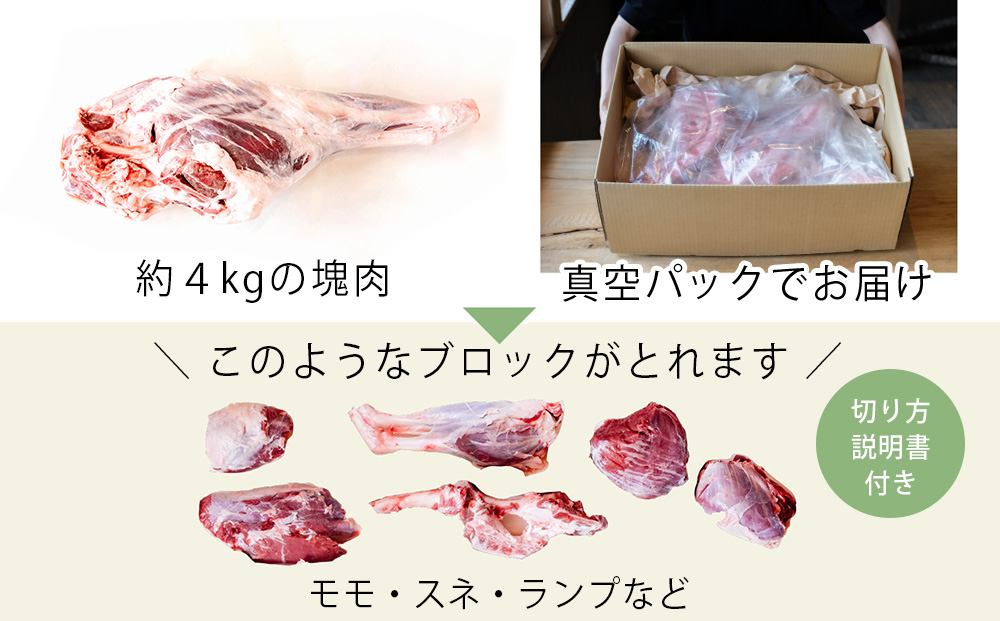 【北海道中川町】<横山牧場 やまのよこのひつじ>6分割【後ろ部位】放牧育ち ホゲット肉 国産 希少 羊肉 塊肉 骨付き モモ スネ ランプ お肉 肉 焼肉 プレミアム