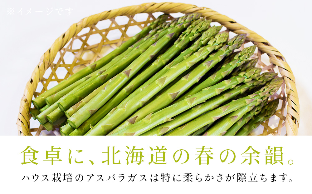 北海道中川町産ハウス栽培グリーンアスパラ　3L4Lサイズ　1kg