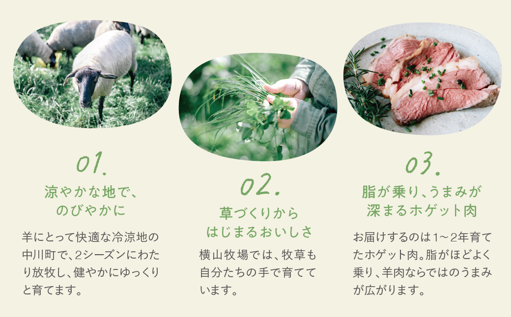 【ふるさと納税】【北海道中川町】<横山牧場 やまのよこのひつじ>6分割【真ん中部位】放牧育ち ホゲット肉 国産 希少 羊肉 塊肉 骨付き ロース バラ ヒレ お肉 肉 焼肉 プレミアム