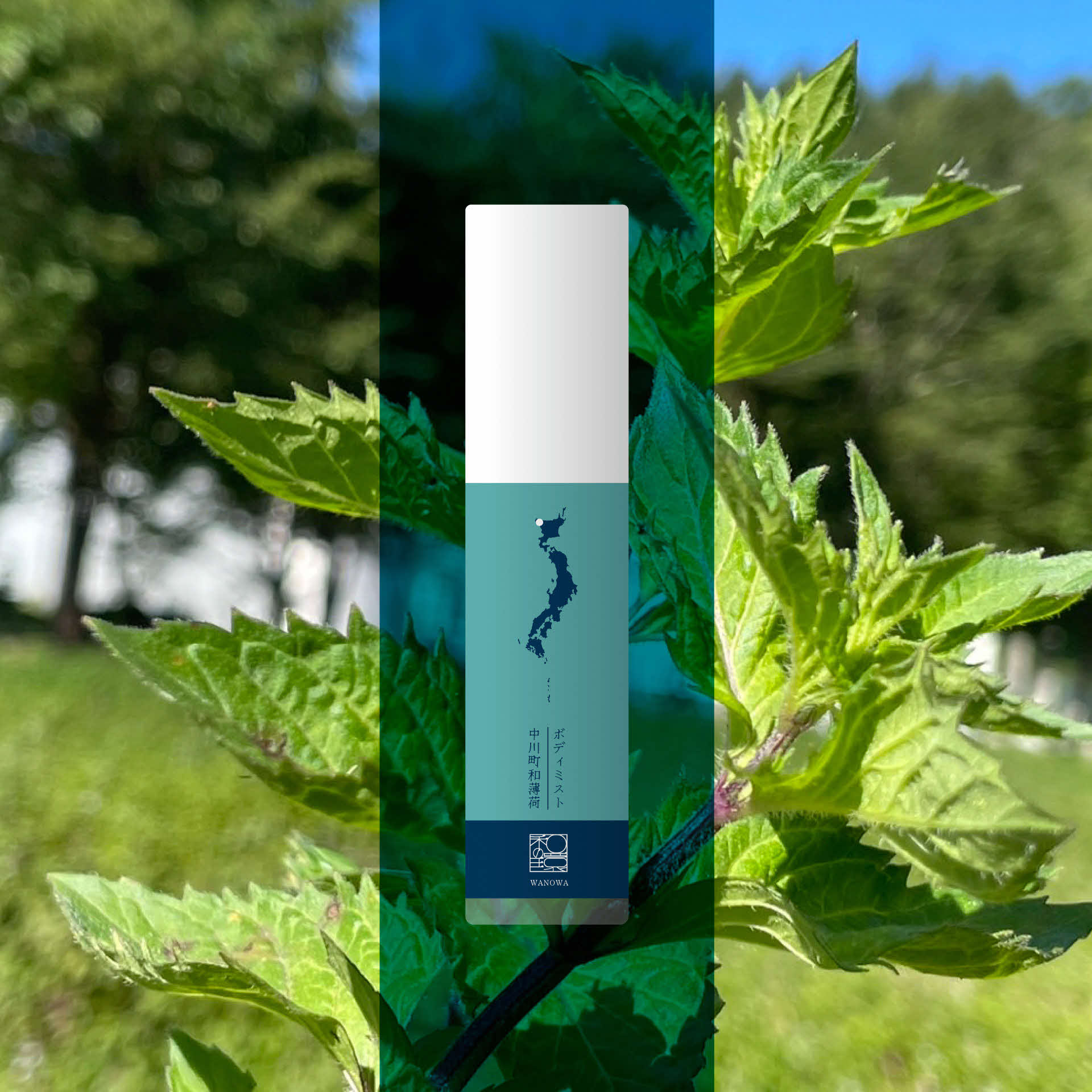 ワノワ　ヘア&ボディミスト　N&W