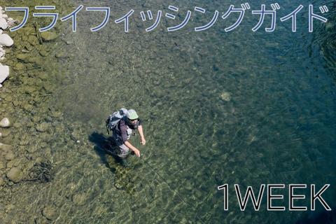 1WEEKフライフィッシングガイドチケット