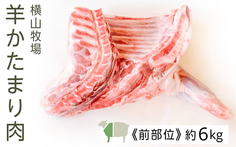 北海道中川町】<横山牧場 やまのよこのひつじ>6分割【前部位】放牧育ち ホゲット肉 国産 希少 羊肉 塊肉 骨付き ショルダー 肩ロース ネック ブレスト お肉 肉 焼肉 プレミアム