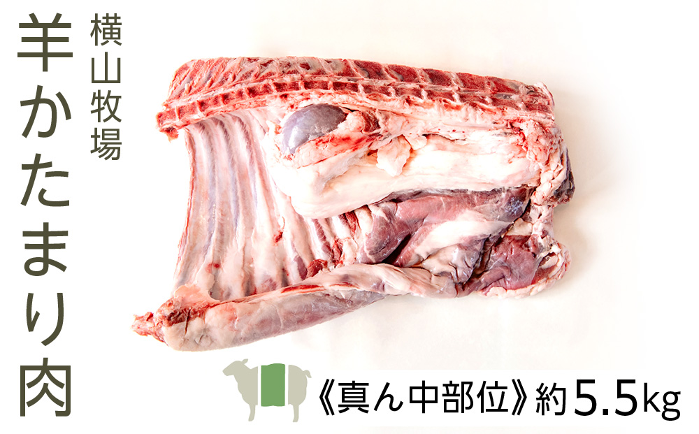【北海道中川町】<横山牧場 やまのよこのひつじ>6分割【真ん中部位】放牧育ち ホゲット肉 国産 希少 羊肉 塊肉 骨付き ロース バラ ヒレ お肉 肉 焼肉 プレミアム
