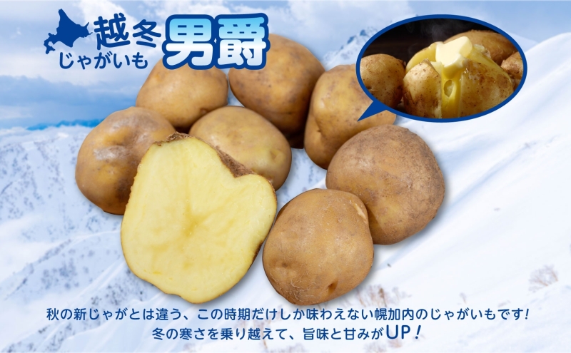 北海道産 訳あり 越冬 じゃがいも 男爵 M～2L 約10kg ジャガイモ 馬鈴薯 ポテト キタアカリ 芋 いも イモ 旬 冬 農作物 訳アリ 規格外 家庭用 北海道 お取り寄せ 産地直送 笠井ファーム 送料無料 幌加内 野菜