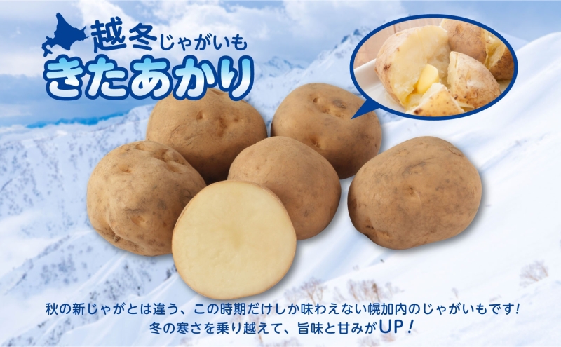 北海道産 訳あり 越冬 じゃがいも きたあかり M～2L 約10kg ジャガイモ 馬鈴薯 ポテト キタアカリ 芋 いも イモ 旬 冬 農作物 訳アリ 規格外 家庭用 北海道 お取り寄せ 産地直送 笠井ファーム 送料無料 幌加内 野菜