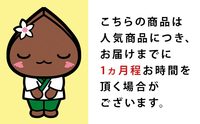 白銀の郷   200g×6束  12人前  昆布つゆ付  十割 そば 北海道 