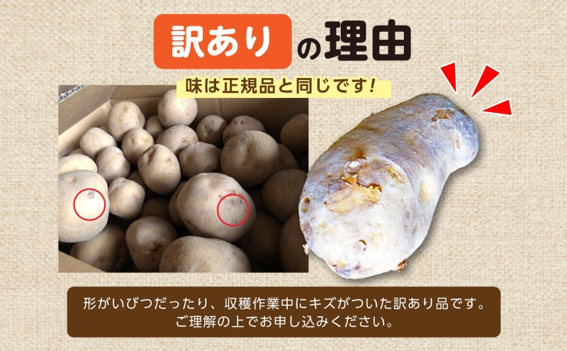 北海道産 訳あり じゃがいも きたあかり M～2L 約10kg ジャガイモ 馬鈴薯 ポテト キタアカリ 芋 いも イモ 旬 冬 農作物 訳アリ 規格外 家庭用 北海道 お取り寄せ 産地直送 笠井ファーム 送料無料 幌加内