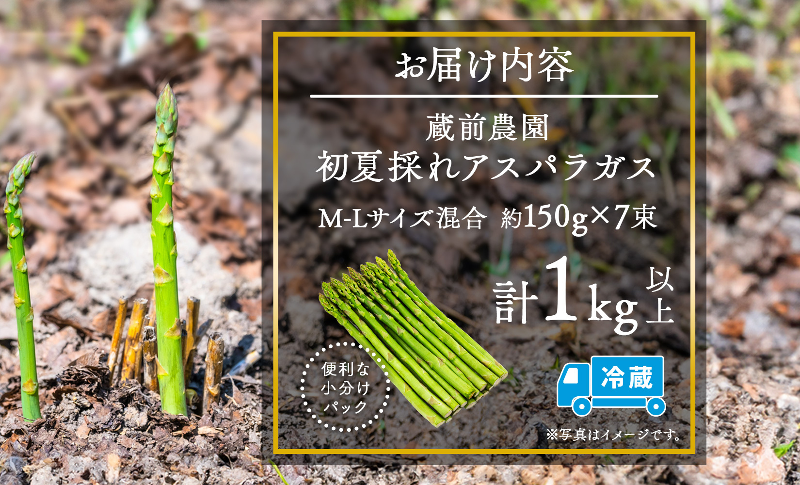 北海道 アスパラガス  約150g×7束 計1kg以上  M-L混合 初夏採れ グリーン アスパラガス 野菜 緑 アスパラ 新鮮 旬 初夏 国産 甘い 小分け お取り寄せ 産地直送 蔵前農園 送料無料