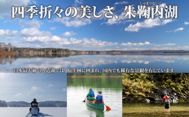 北海道朱鞠内 イトウフィッシングプラン（1泊2食付）＋船渡２回分付 朱鞠内湖 イトウ釣り 幻の魚 魚釣り 北海道旅行 アウトドアキャンプ 自然散策 大自然 釣り初心者 湖畔 釣り旅行 釣りの聖地