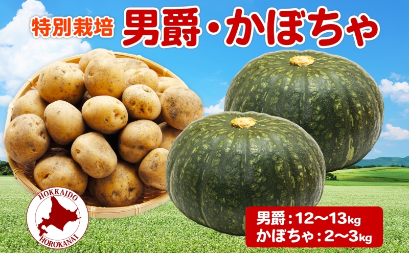 ＜2024年秋以降出荷＞ 北海道 じゃがいも 男爵 かぼちゃ計約15kg 詰め合わせ ジャガイモ カボチャ だんしゃく 南瓜 農作物  ホクホク 甘い 人気 お取り寄せ 産地直送 北海道産