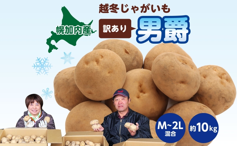 北海道産 訳あり 越冬 じゃがいも 男爵 M～2L 約10kg ジャガイモ 馬鈴薯 ポテト キタアカリ 芋 いも イモ 旬 冬 農作物 訳アリ 規格外 家庭用 北海道 お取り寄せ 産地直送 笠井ファーム 送料無料 幌加内 野菜
