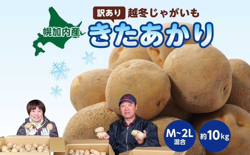 北海道産 訳あり 越冬 じゃがいも きたあかり M～2L 約10kg ジャガイモ 馬鈴薯 ポテト キタアカリ 芋 いも イモ 旬 冬 農作物 訳アリ 規格外 家庭用 北海道 お取り寄せ 産地直送 笠井ファーム 送料無料 幌加内 野菜