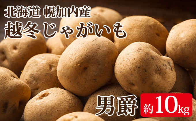 越冬 じゃがいも 男爵 約 10kg (サイズ混合) 北海道 幌加内産 ジャガイモ 芋 4月出荷 笠井ファーム