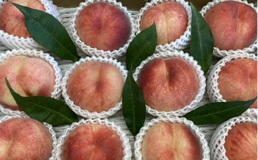 7-018-011　サトケンさんの桃「あかつき」Lサイズ 3kg前後