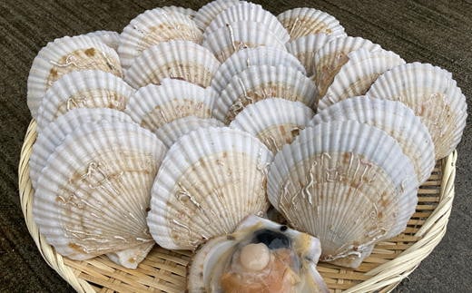 7-012-015　殻付き半成貝（ベビー貝）2kg（約30枚）【12月発送