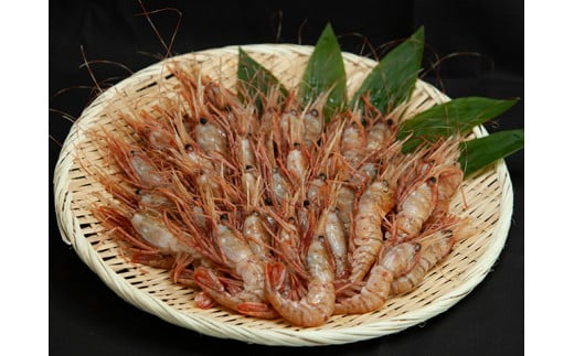 7-014-002　訳ありボタンエビ 1kg（21～45尾）