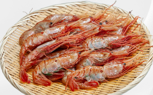 7-040-001　ジャンボボタンエビ 1kg（10～20尾）