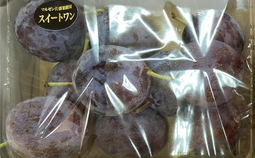 7-010-018　完熟プルーン（スイートワン）2kg【マルゼン佐藤