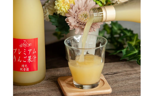 7-040-007　秋香園 りんごジュース 720ml×12本セット