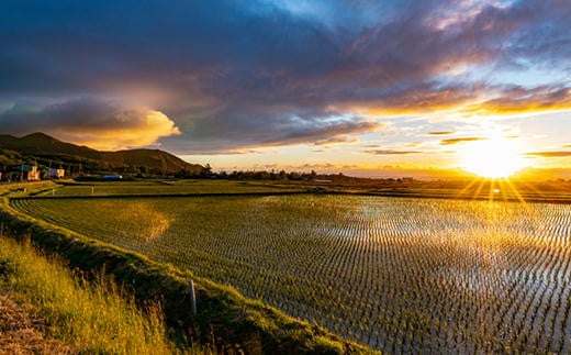 7-035-004　新米・増毛町産米ななつぼし・特別栽培米ゆめぴ