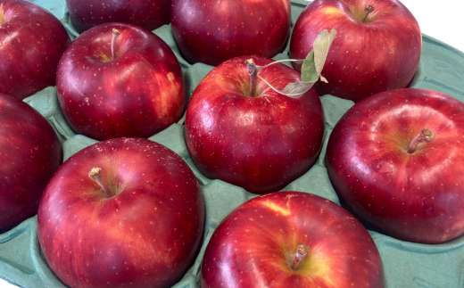 7-011-005　サトケンさんの完熟りんご「つがる」3kg（12～15玉