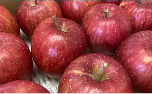 7-011-006　サトケンさんの完熟りんご早生ふじ「昂林」3kg（12