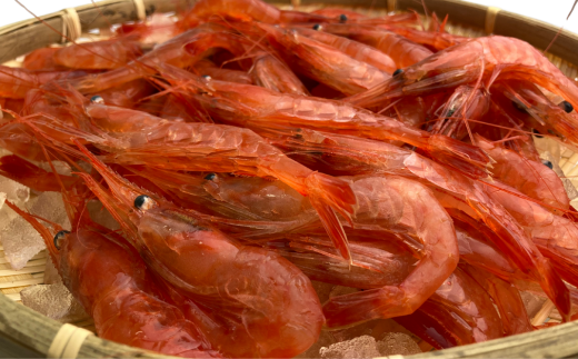 7-012-007　甘えび・しまえびセット 各500g