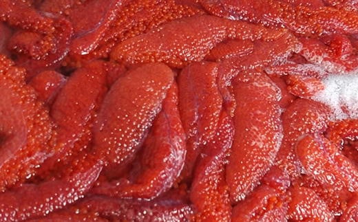 7-016-006　昔ながらの【床漬け製法】塩筋子250g