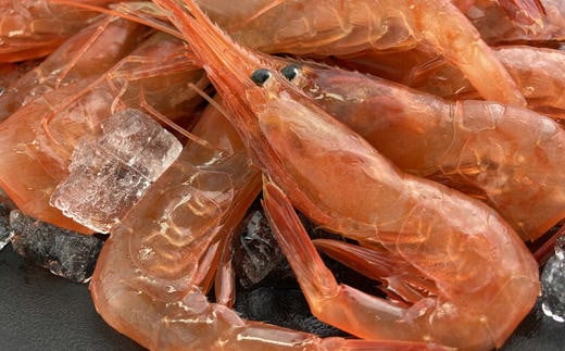 7-007-001　甘えび 500g（40尾前後）