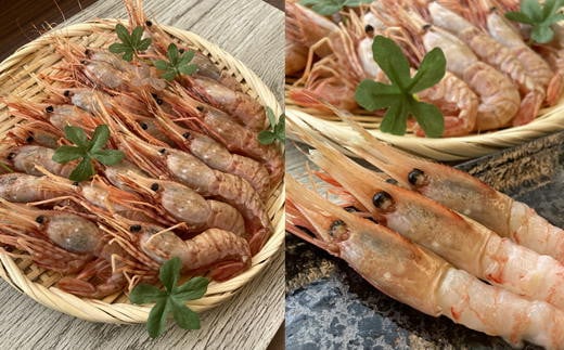 7-010-001　ましけのボタンエビ 700g（350g×2）