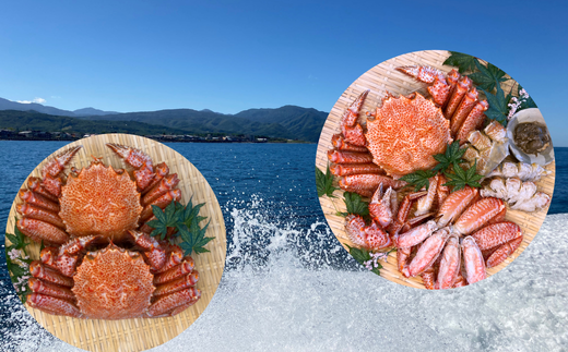 7-120-002　【12万円コース・毛ガニ2尾1.3kg・アワビ】おせちに