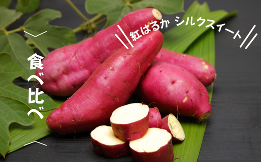 7-010-027　さつまいも食べ比べ（紅はるか・シルクスイート