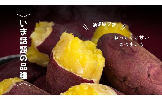 7-005-006　さつまいも（あまはづき）2kg【マルゼン佐藤果樹