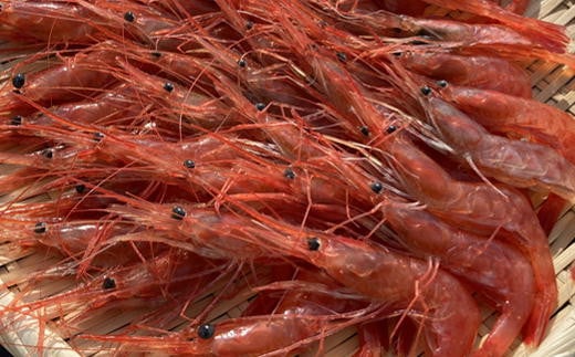 7-020-023　冷凍甘えび・しまえびセット 各500g