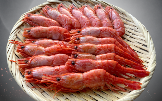 7-010-036　旨味凝縮!おつまみボイルシマエビ『北海道日本海