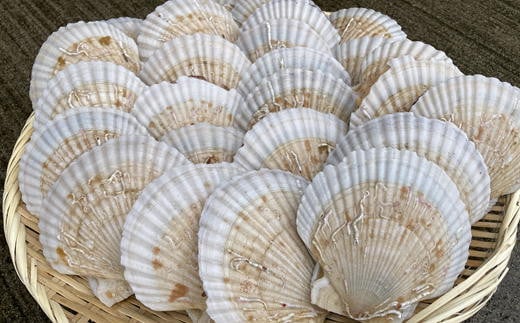 7-012-015　殻付き半成貝（ベビー貝）2kg（約30枚）【12月発送