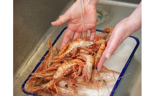 7-014-002　訳ありボタンエビ 1kg（21～45尾）