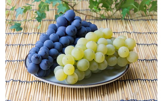 7-010-017　ぶどう詰め合わせ 2kg（10月～発送）【マルゼン佐