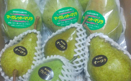 7-014-014　山口さんちの洋梨 3種詰め合わせ 5kg【9月下旬～発