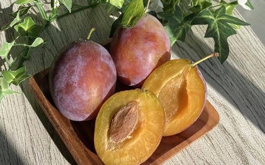 7-015-013　サトケンさんの プルーン「パープル・アイ」1kg