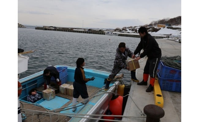 7-010-013　漁師の力酒飲み比べセット（旨口編）