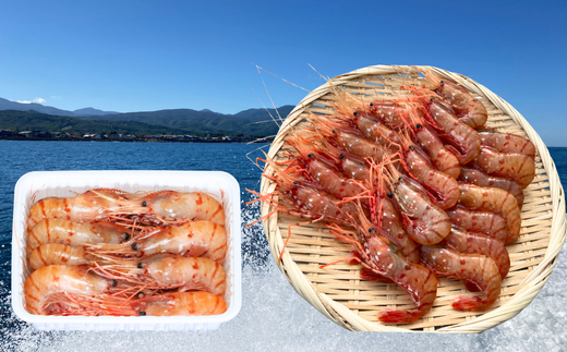 7-100-003　【10万円コース・毛ガニ1尾700g・アワビ・ボタンエ