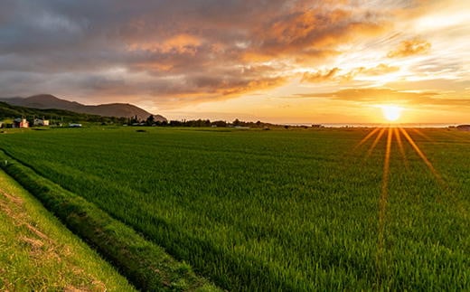 7-035-004　新米・増毛町産米ななつぼし・特別栽培米ゆめぴ